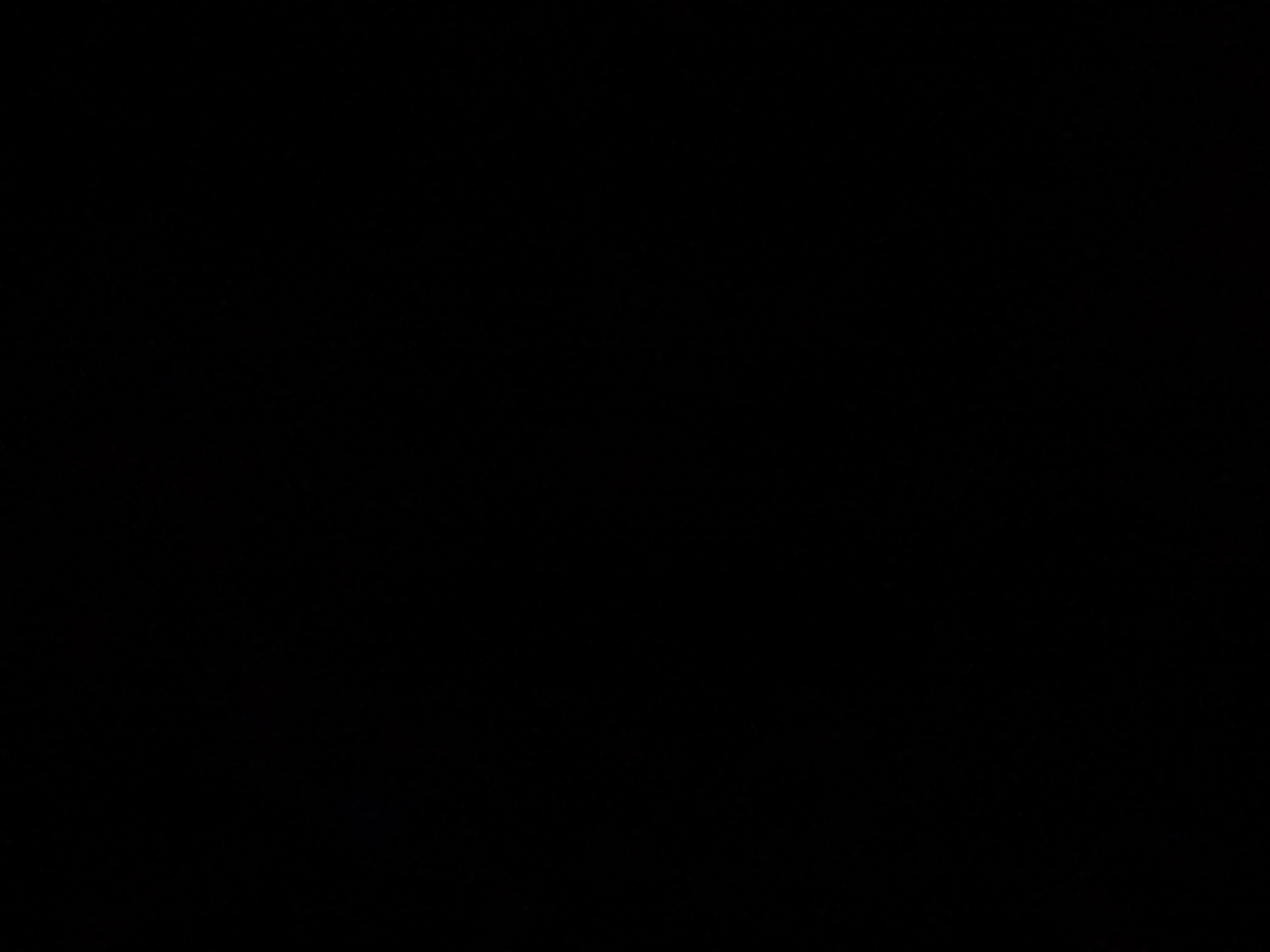 levichandler874 from US