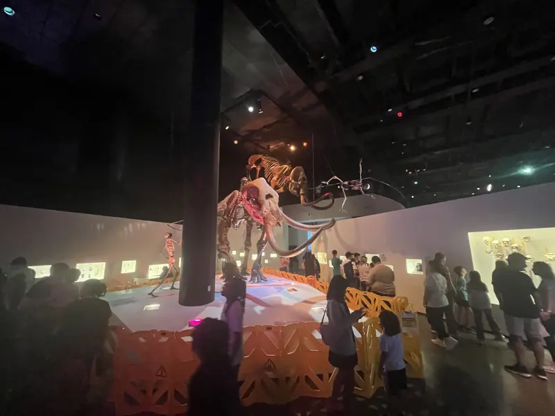 loganlunday619 from US