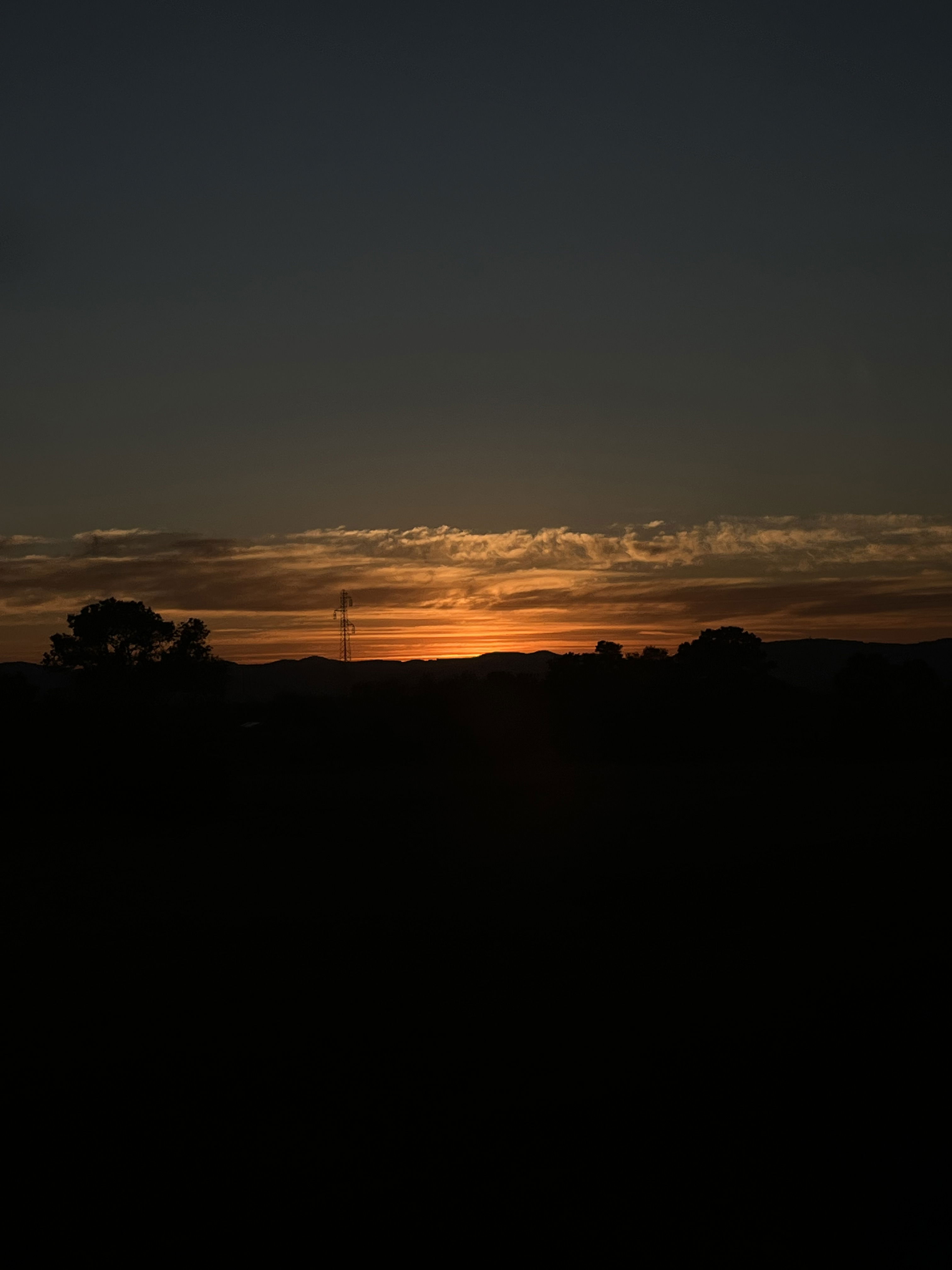 looliepooplie from FR