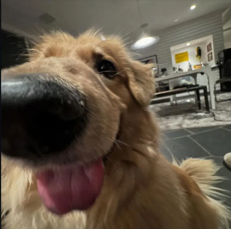 masterchiefs-117 (21) male from US - sexting partner