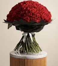 mnzooox73 (22) male from DZ - sexting partner