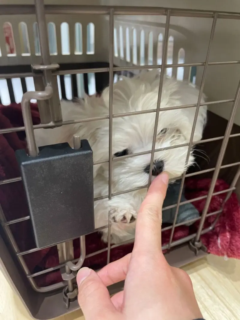 mymailsender8 from US