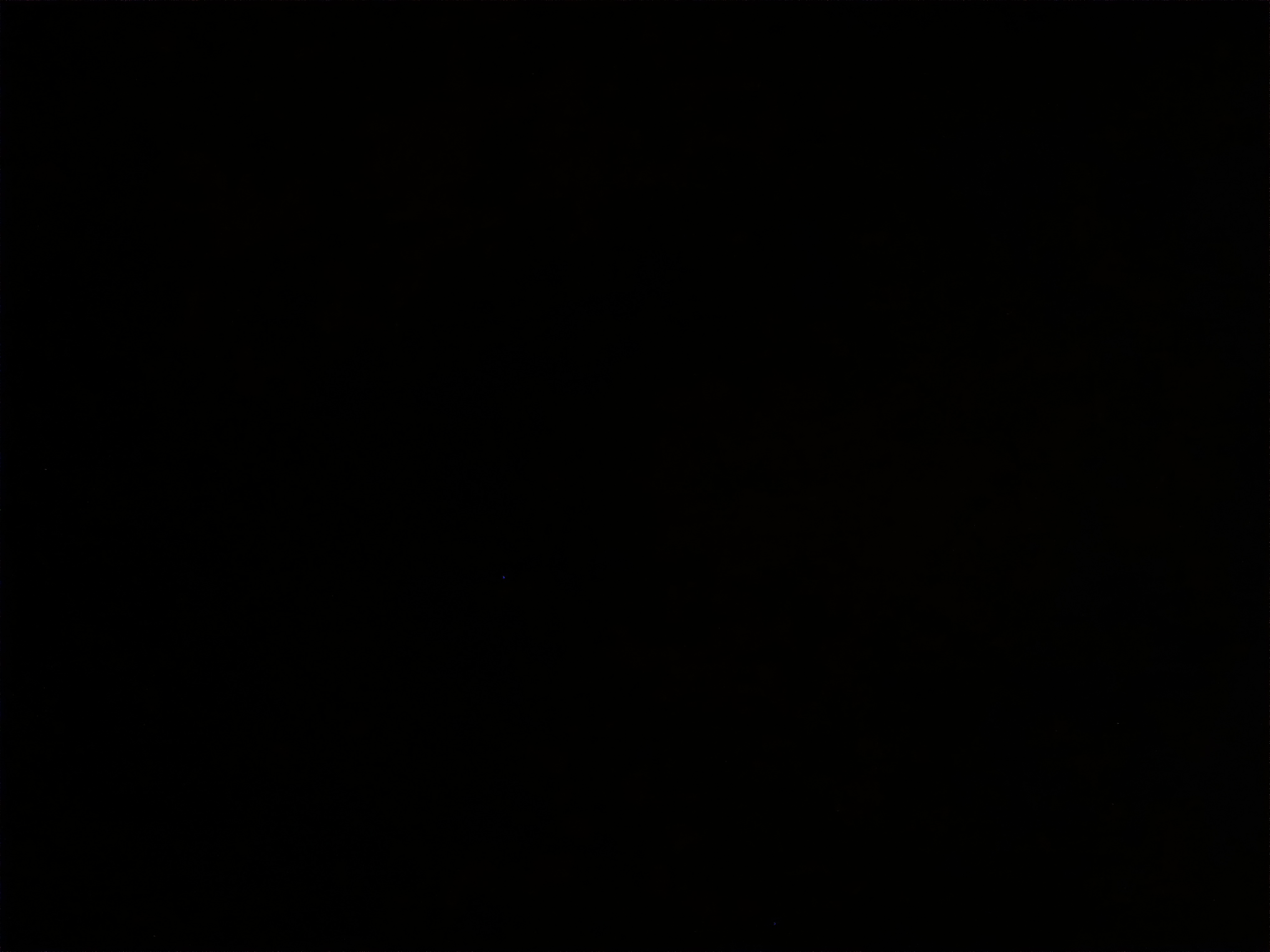 nathanielcolligan3 from US