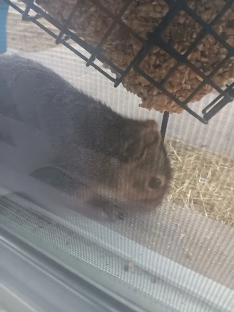 nathanielstanton466 (18) male from US - sexting partner