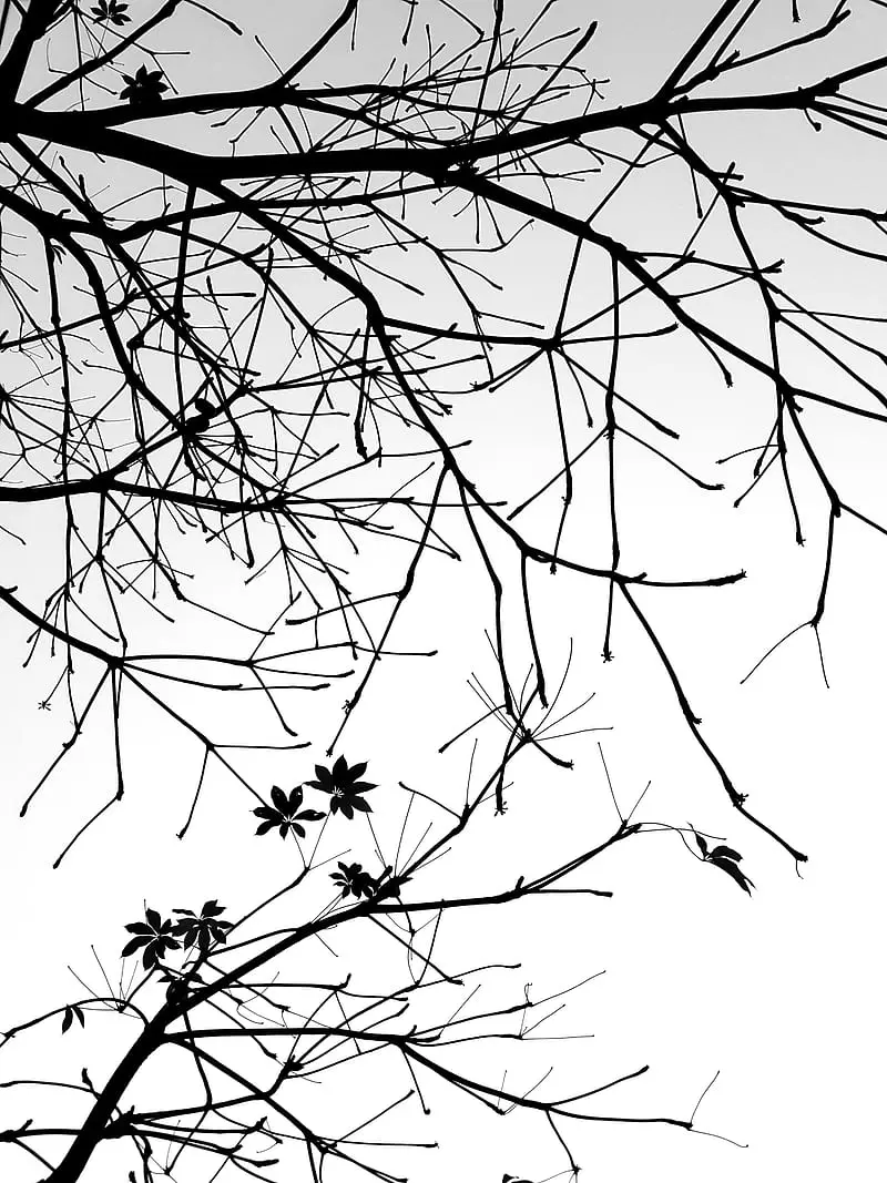 ohiomerosaviour123 from NG