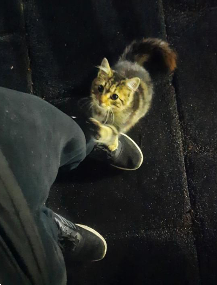 ozkayaemin433 from TR