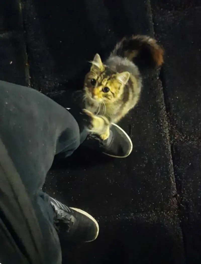 ozkayaemin433 (19) male from TR - sexting partner