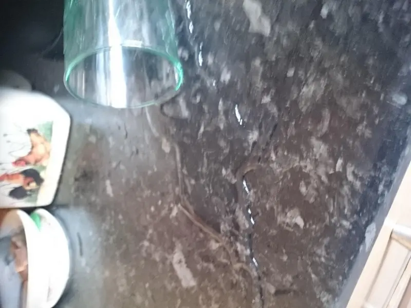 rainokami07 (18) male from GB - sexting partner