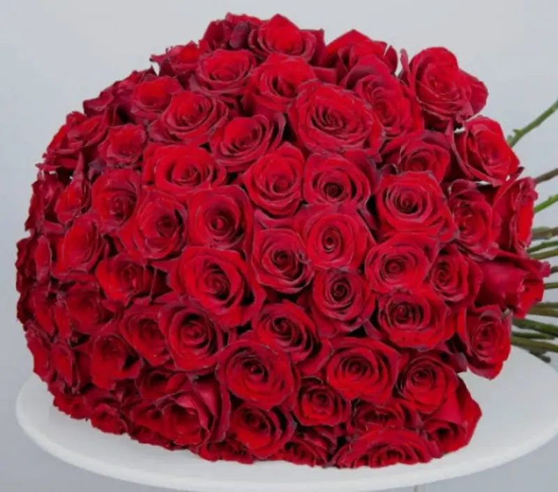 raja (20) male from IN - sexting partner