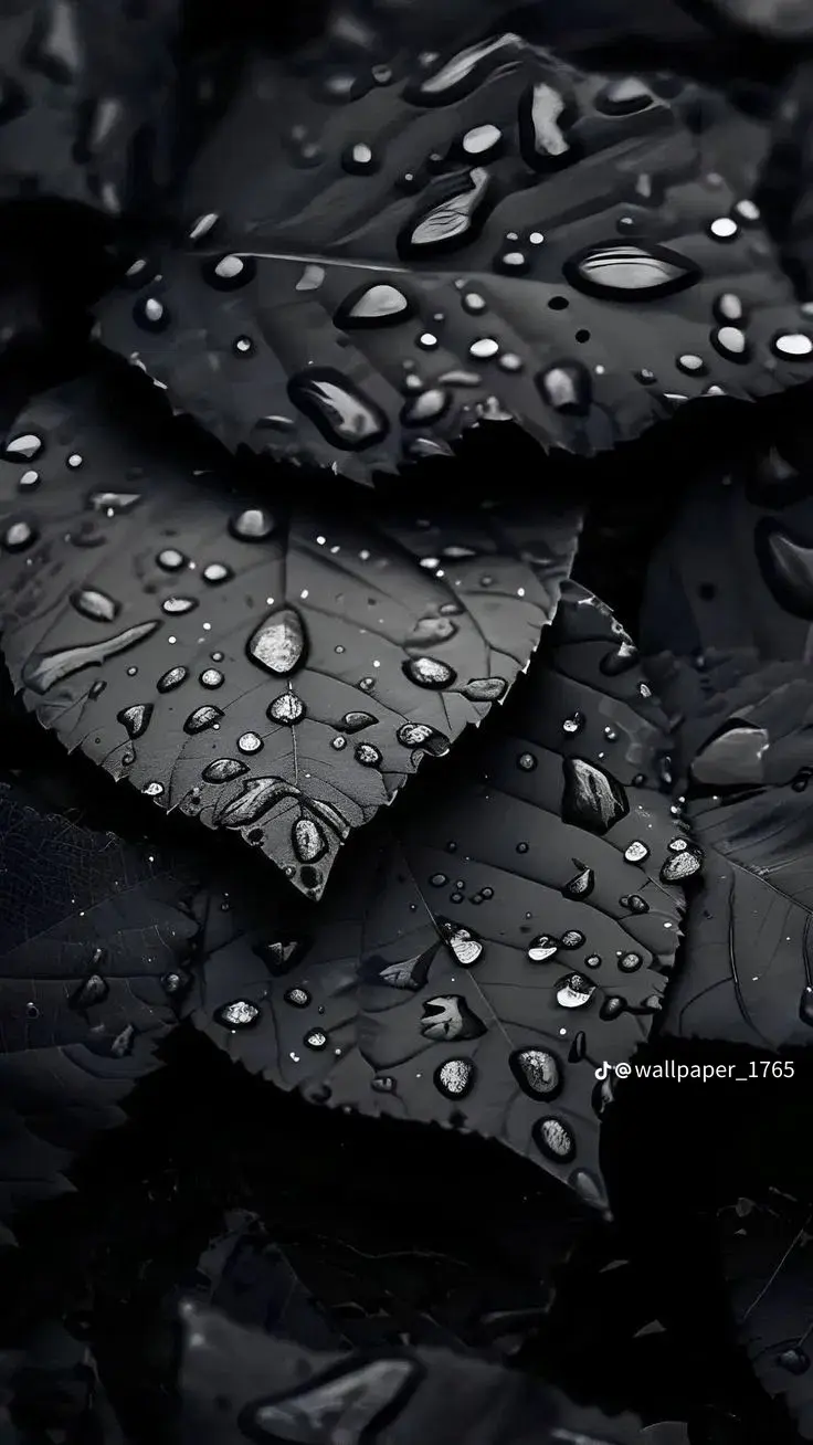 rembikowskit (18) male from NL - sexting partner