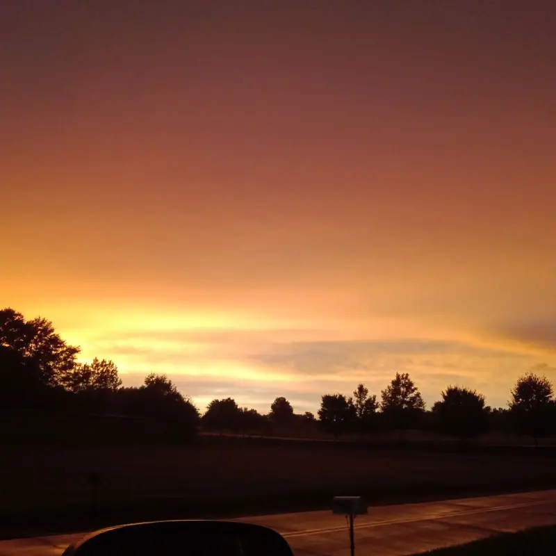 rodsmooth04 (18) male from US - sexting partner