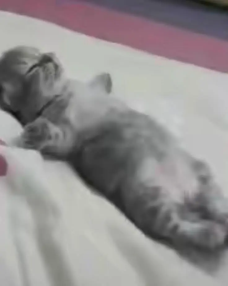 rsebma (18) male from AU - sexting partner