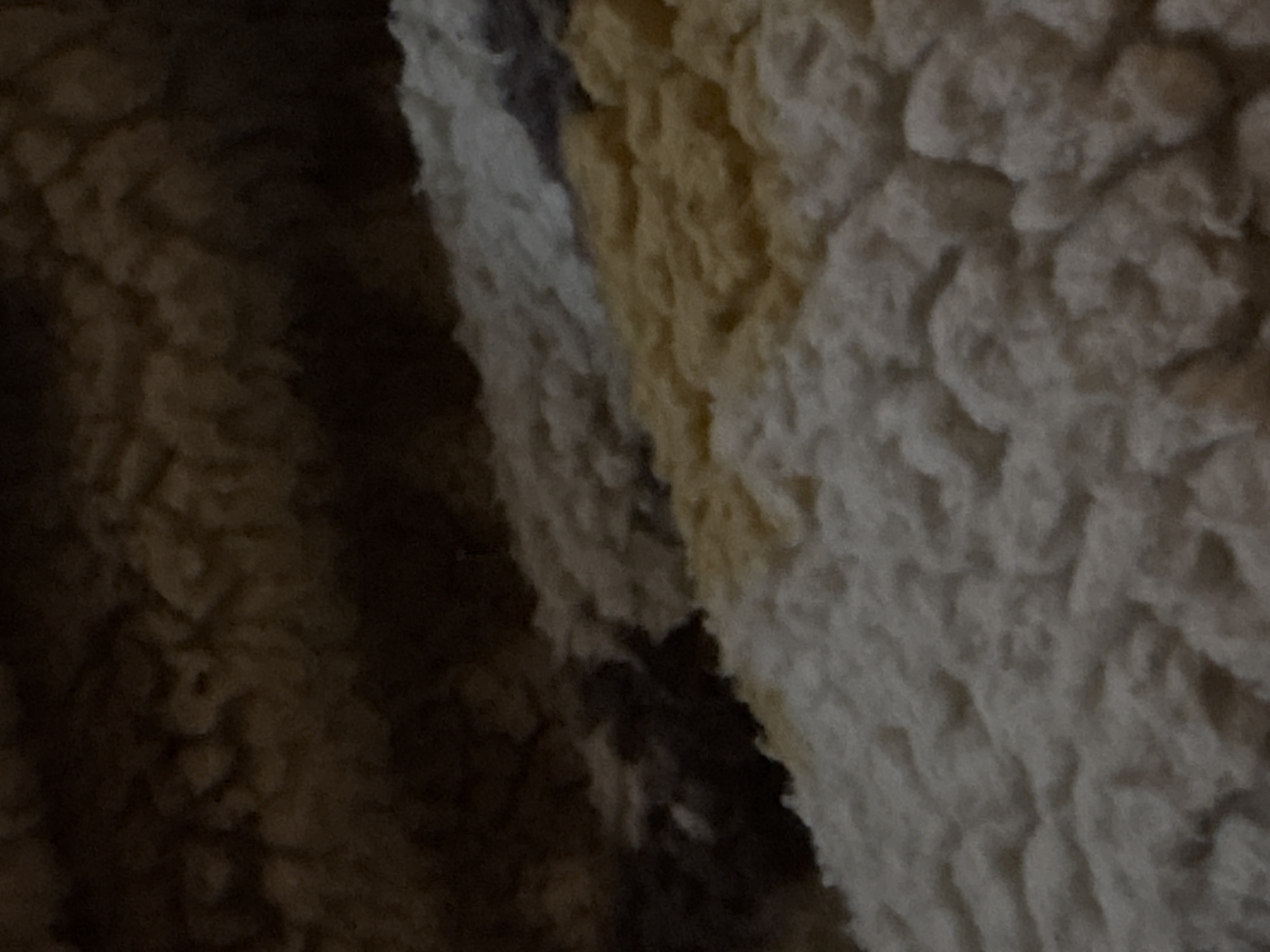 runsonthirdleg from US