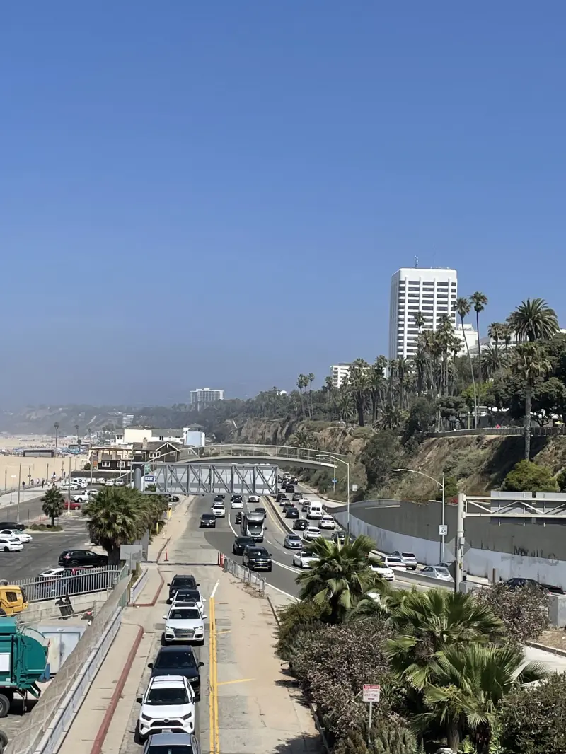 shawnbrendle from LI