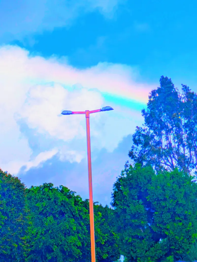 skylerpompe787 from US