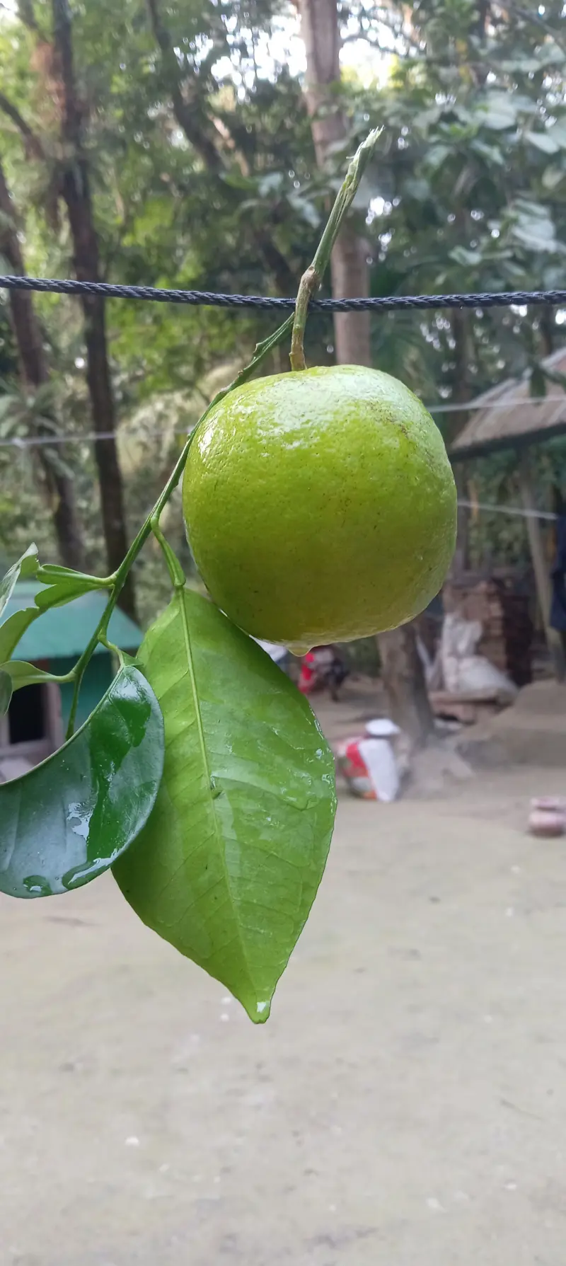 tawhidstudent25 (18) male from BD - sexting partner