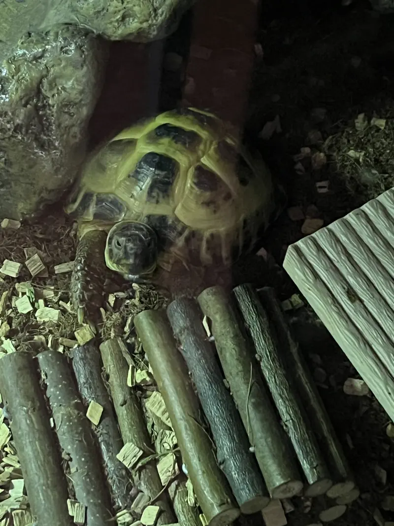 tobyshaw449 (18) male from BD - sexting partner