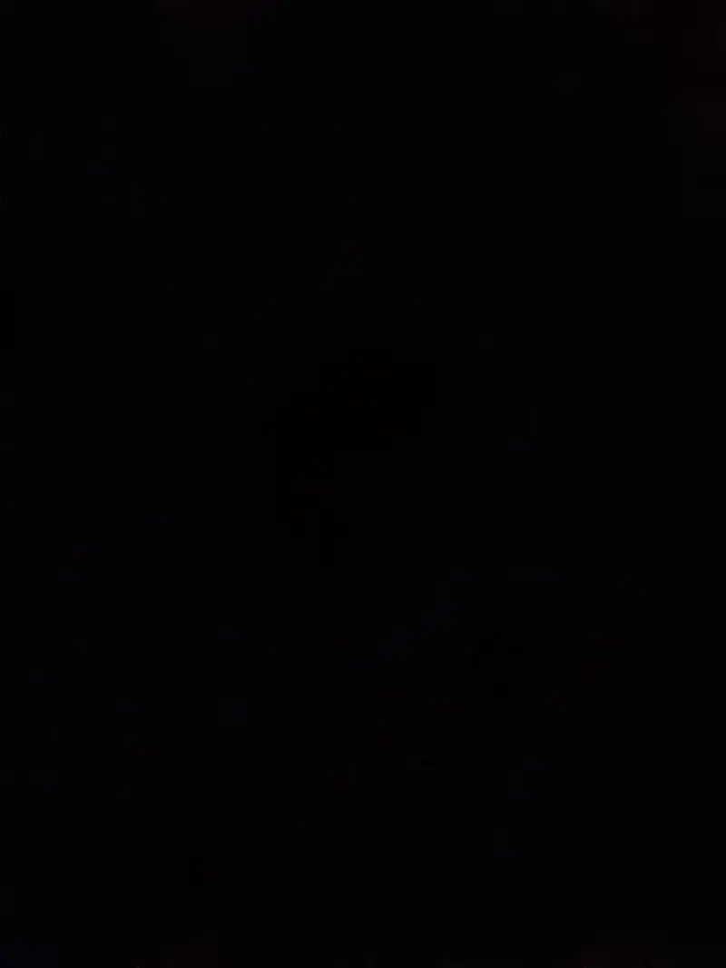 tonyparis5264 from US