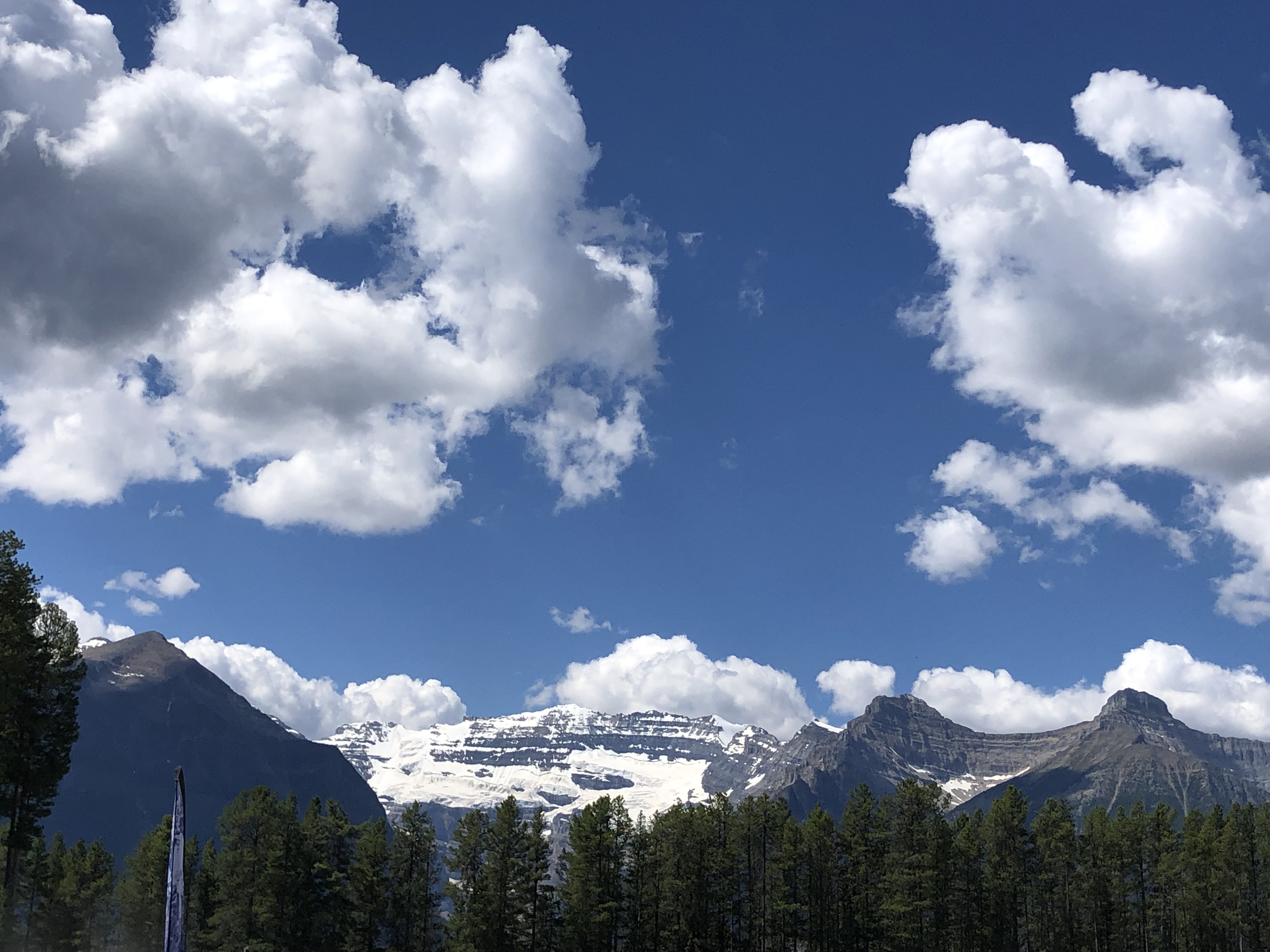 travistaves3915 from CA