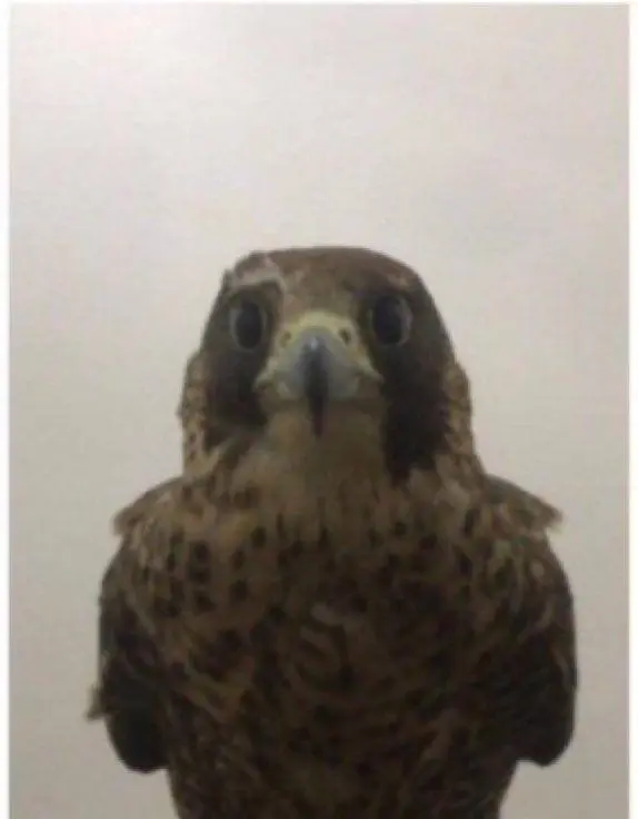 uziverte3211 (18) male from FI - sexting partner