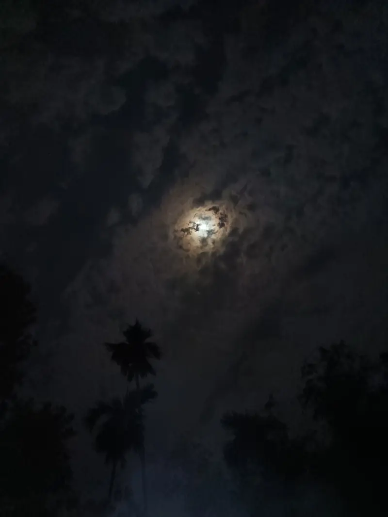 vasss (20) male from IN - sexting partner