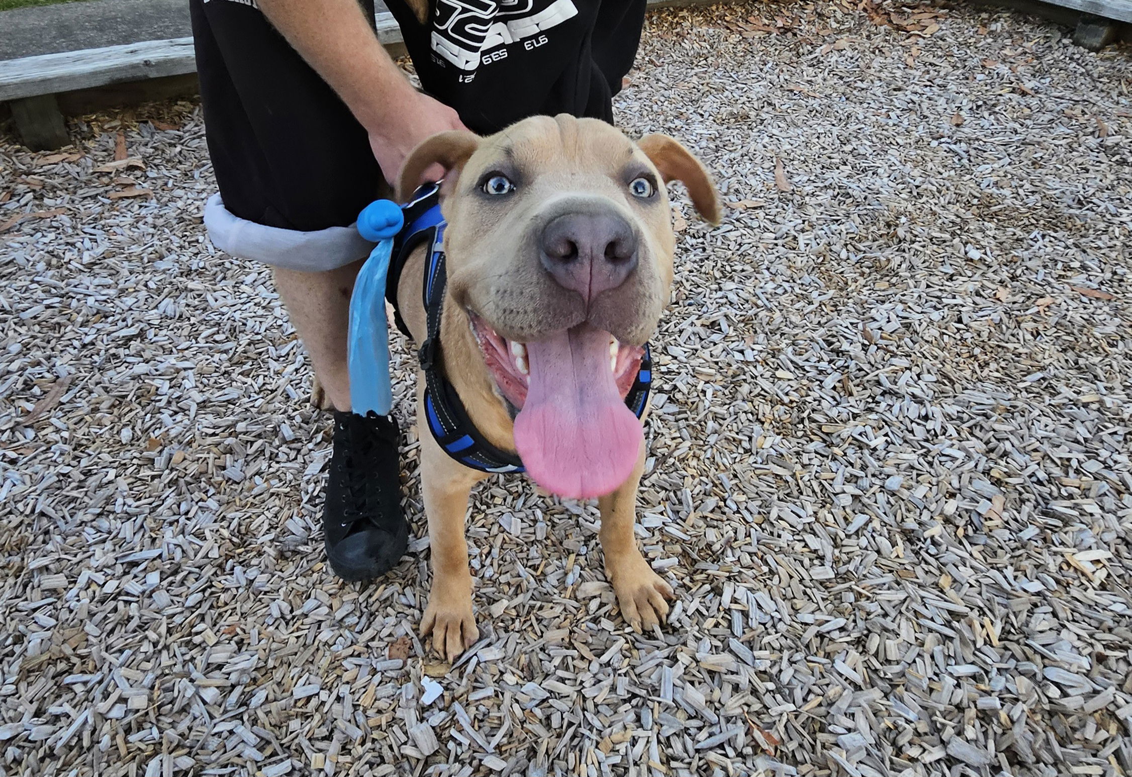 xandernortjenz from NZ