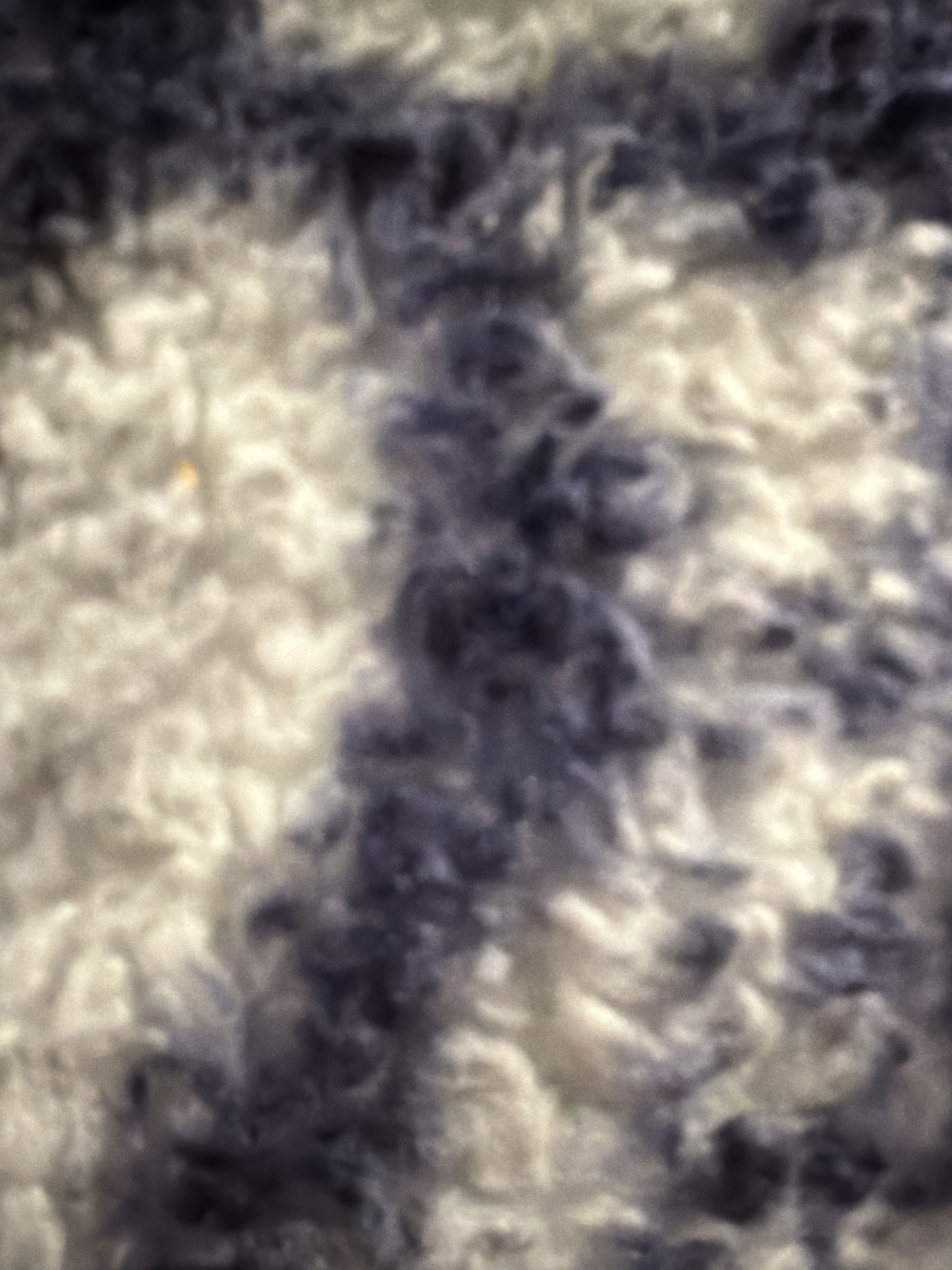 youmomsohot1 from US